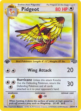 Pidgeot (24) 024/64  - Unlimited Jungle - Rare
