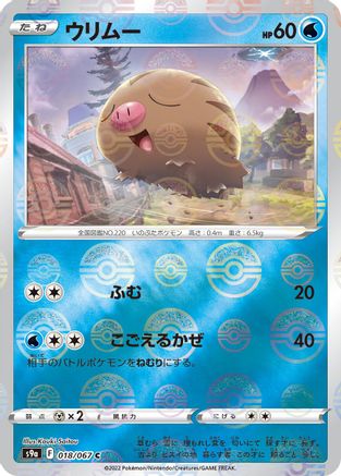 Swinub (Poke Ball Pattern) (018/067) - S9a Battle Region Holofoil