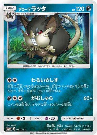 Alolan Raticate (037/051) - sm1 Enhanced Expansion Pack Sun  Moon Holofoil