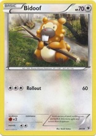 Bidoof 029  Kalos Starter Set - Common