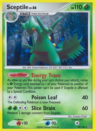Sceptile 010  - Holofoil Stormfront - Holo Rare