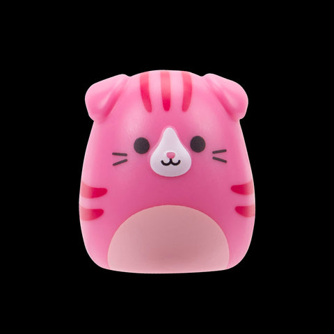 Squishmallows Squish-a-Longs Blinds Assortment