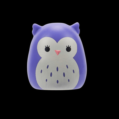 Squishmallows Squish-a-Longs Blind Box