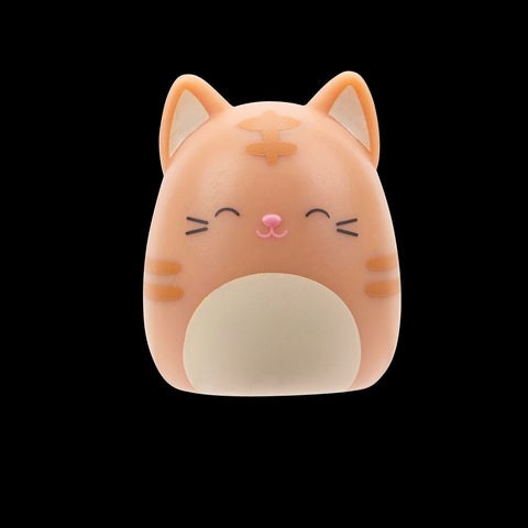 Squishmallows Squish-a-Longs Blind Box