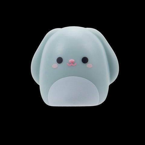 Squishmallows Squish-a-Longs Blinds Assortment