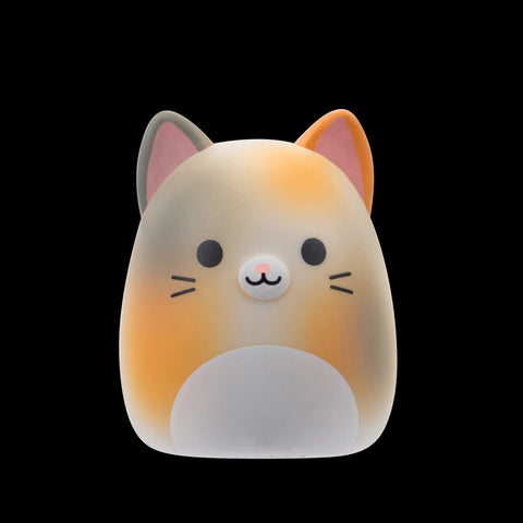 Squishmallows Squish-a-Longs Blind Box