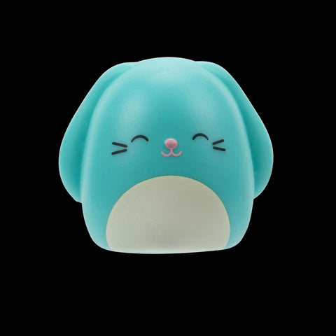 Squishmallows Squish-a-Longs Blind Box