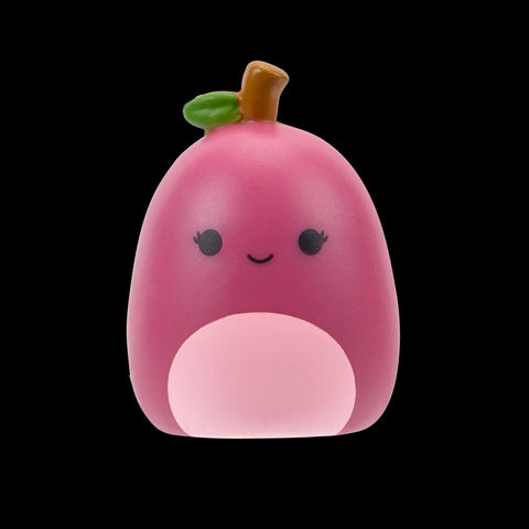 Squishmallows Squish-a-Longs Blind Box