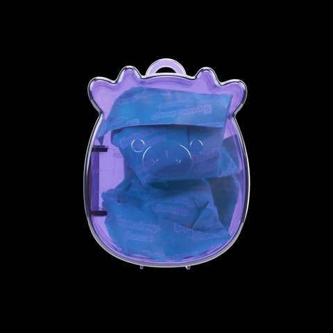 Squishmallows Squish-a-Longs Blinds Assortment