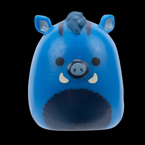 Squishmallows Squish-a-Longs Blind Box
