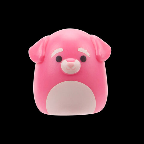 Squishmallows Squish-a-Longs Blind Box