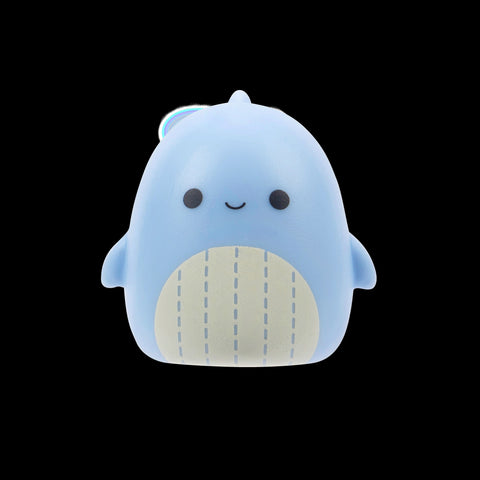 Squishmallows Squish-a-Longs Blind Box