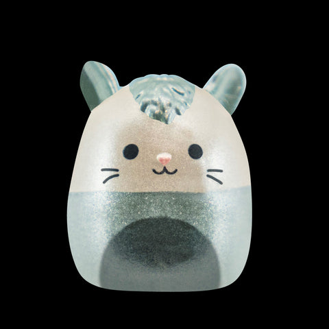 Squishmallows Squish-a-Longs Blind Box