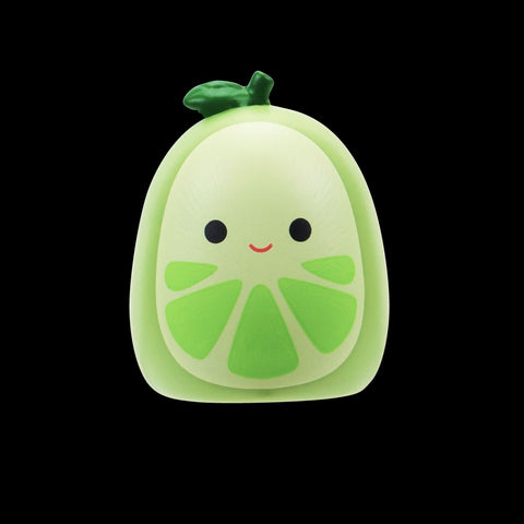 Squishmallows Squish-a-Longs Blind Box