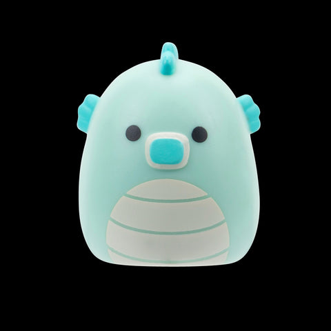 Squishmallows Squish-a-Longs Blind Box