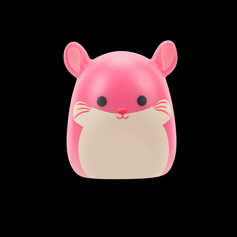 Squishmallows Squish-a-Longs Blind Box