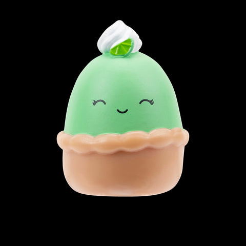 Squishmallows Squish-a-Longs Blind Box