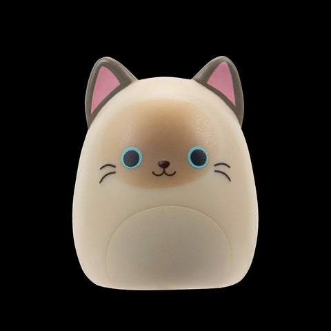 Squishmallows Squish-a-Longs Blind Box