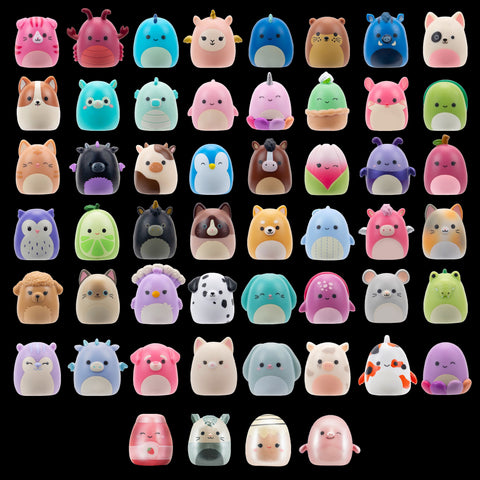 Squishmallows Squish-a-Longs Blind Box