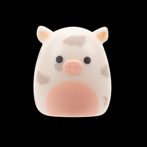 Squishmallows Squish-a-Longs Blinds Assortment